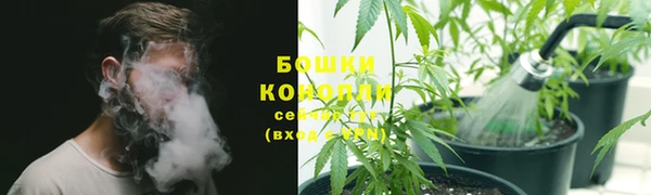 не бодяженный Надым