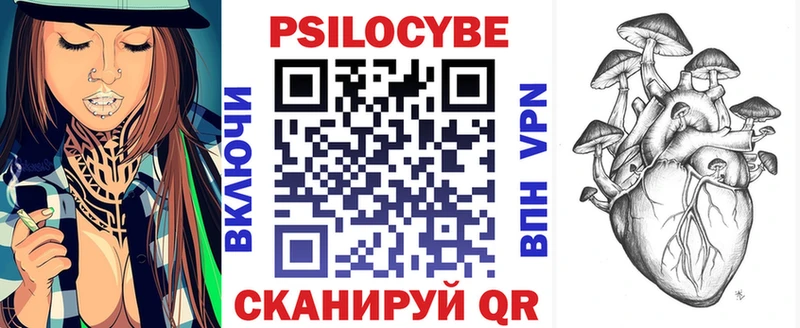 Галлюциногенные грибы Psilocybe  Новая Усмань 
