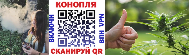 Бошки Шишки ГИДРОПОН Новая Усмань