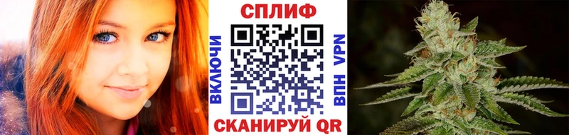 Каннабис индика  Новая Усмань 